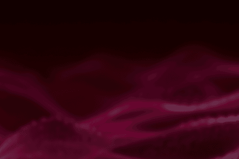 partner-overlay