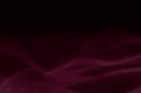 partner-overlay